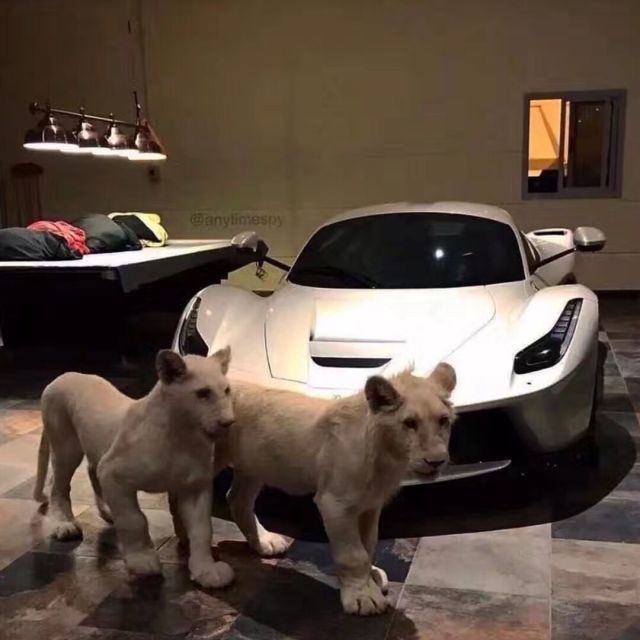 778300 