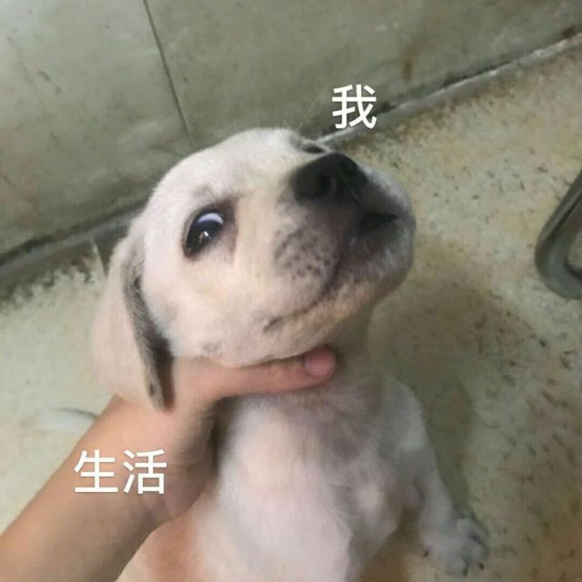 778480 勇成氧化（新厂）