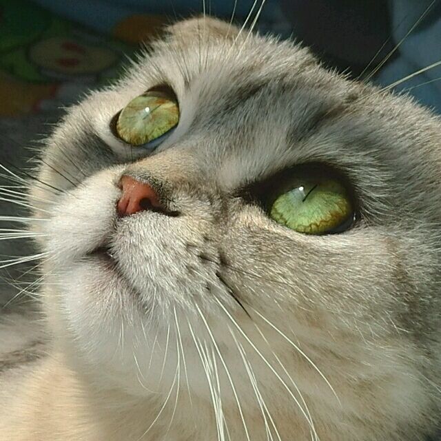 779479 helloo