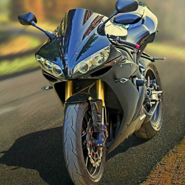 779611 安梅珊