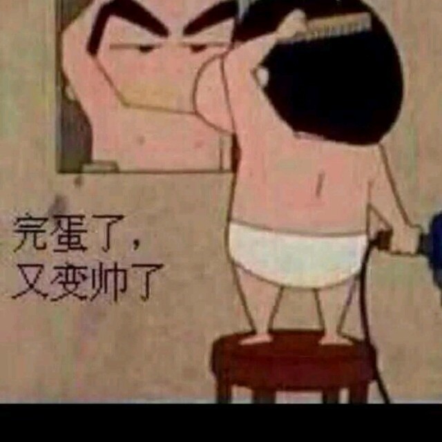 779619 斑马