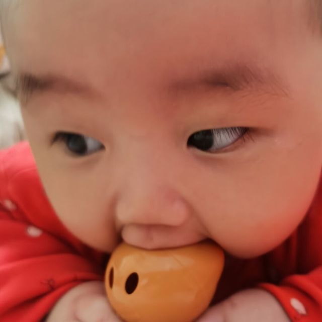779693 猫猫