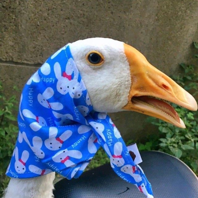 779943 QQ