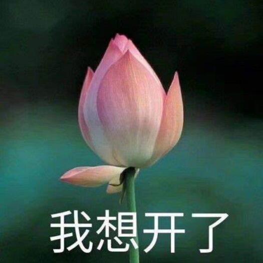 78032 声声声声