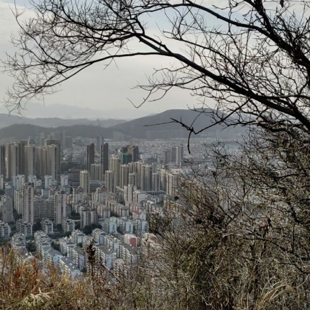 780915 春暖花开