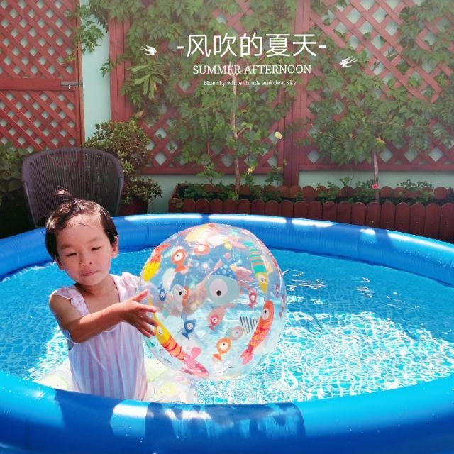 781024 精灵鱼