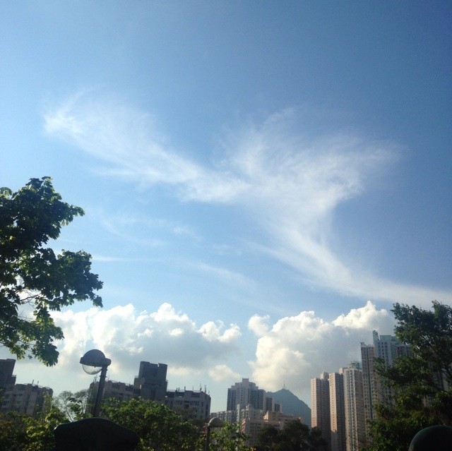 78199 锋