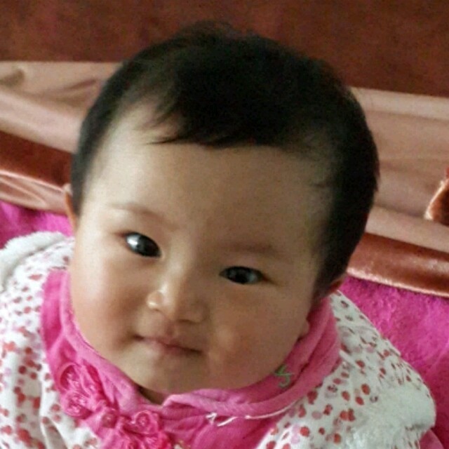 782423 -Rose