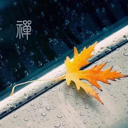 782823 Jack Zhu