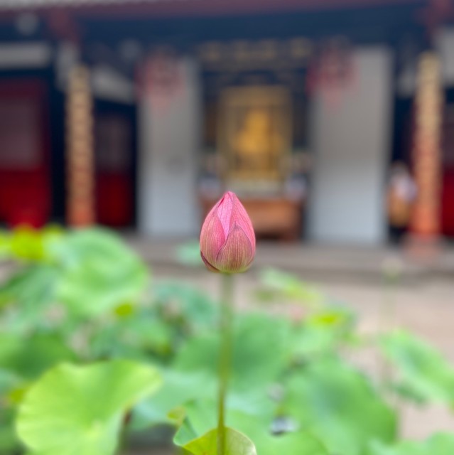 783069 吾玮小宝