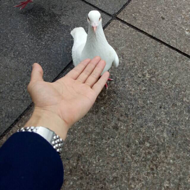 783097 圊舂哪么骚氣