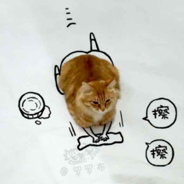 783202 惘然的鸟