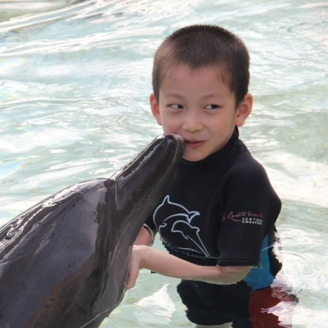 78322 小李的生日号