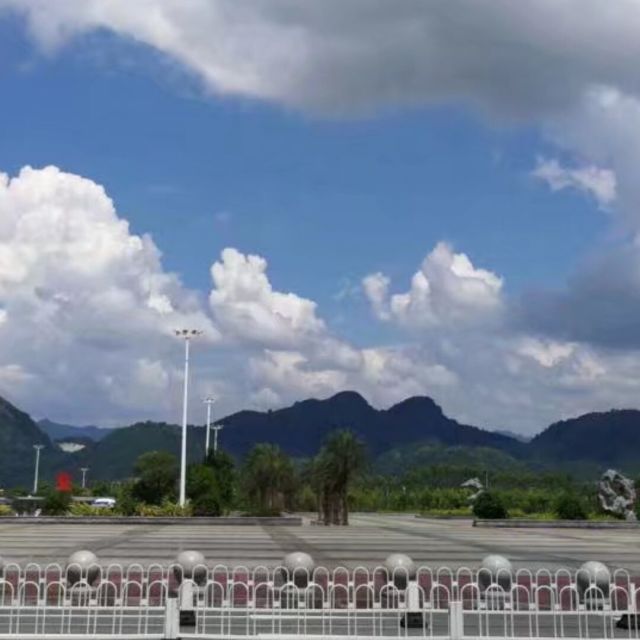783301 飞翔