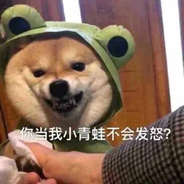 783553 随遇而安