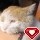 783578 annie