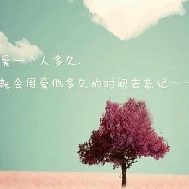 784317 平常心