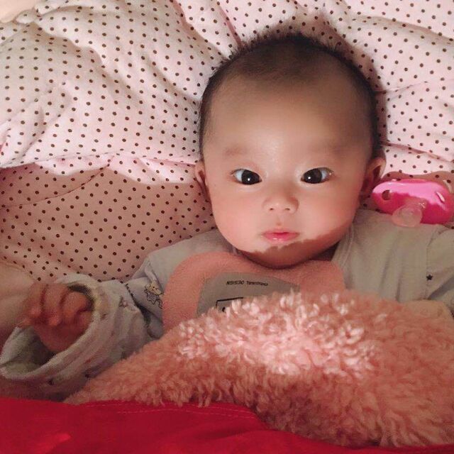784959 毛竹人生