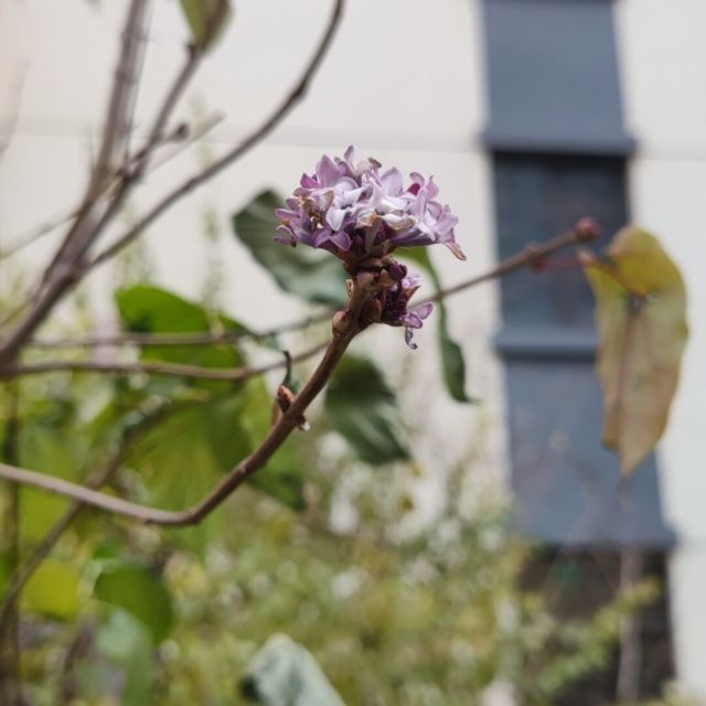 784977 镜花水月