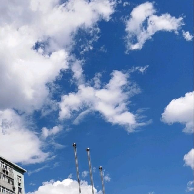 785082 飝龘~