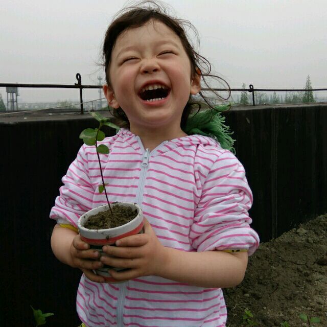 785125 LAO毛