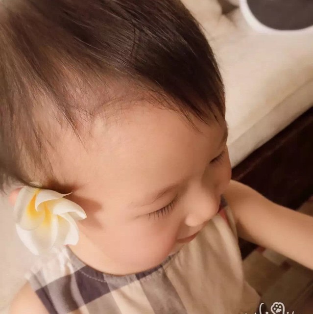 785214 oみ猫☆oをo
