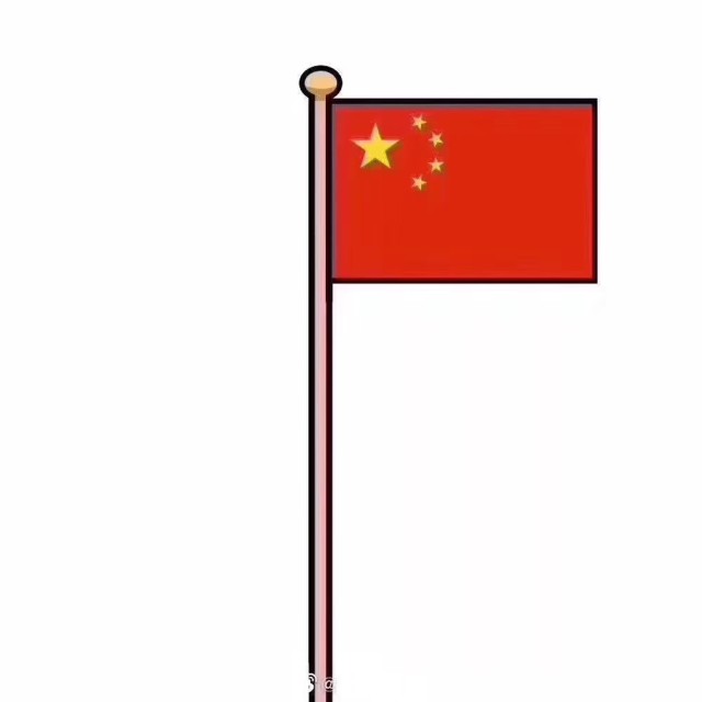 785523 林九