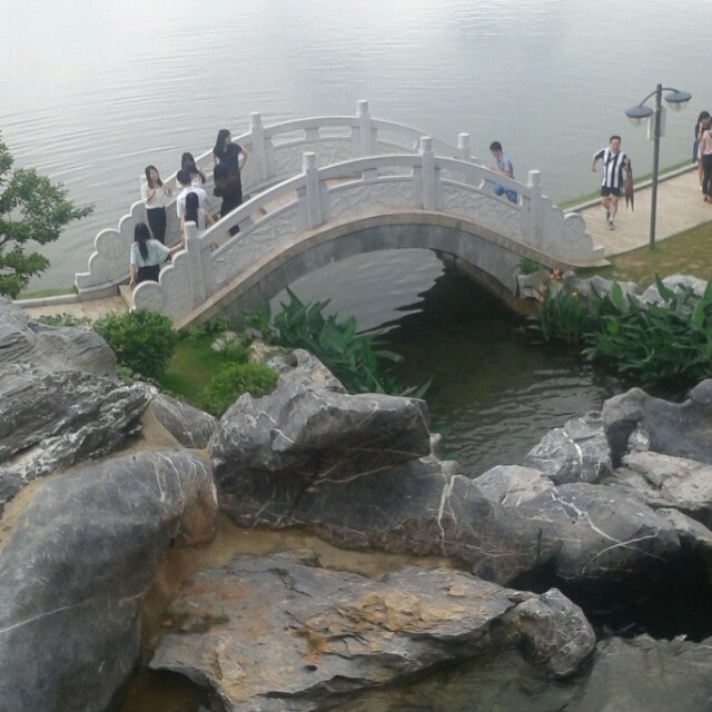 785586 /dy依然