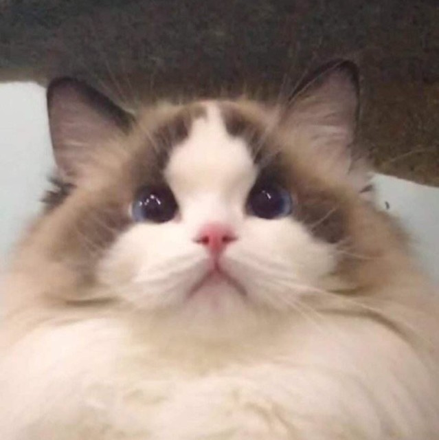 785963 蘭.菁菁