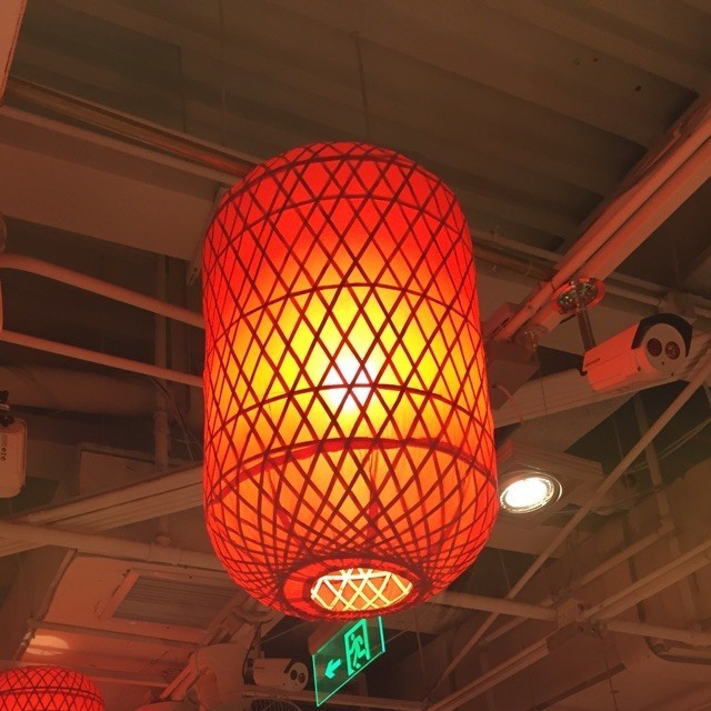 786037 散落漓江的鱼