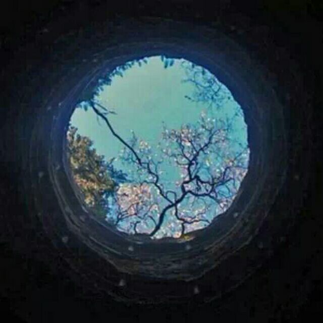 786365 近墨者