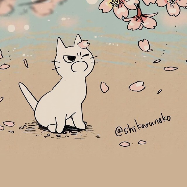 787076 一朵纷繁