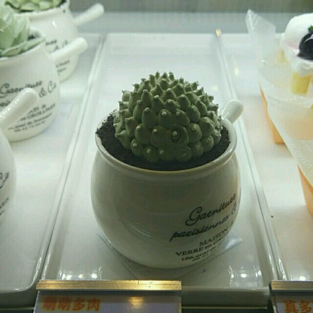 787207  ☆林枫☆