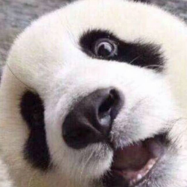 78735 78735