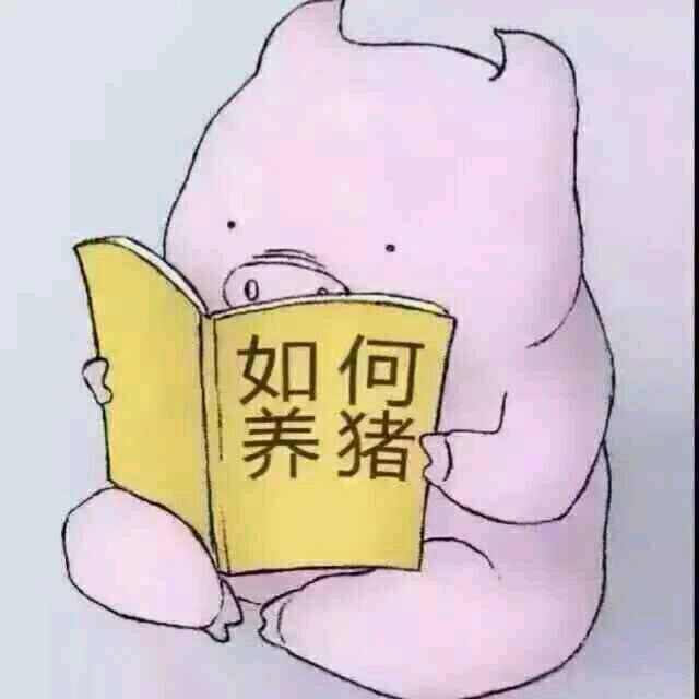 787802 雀神