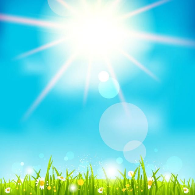 788566 Sun