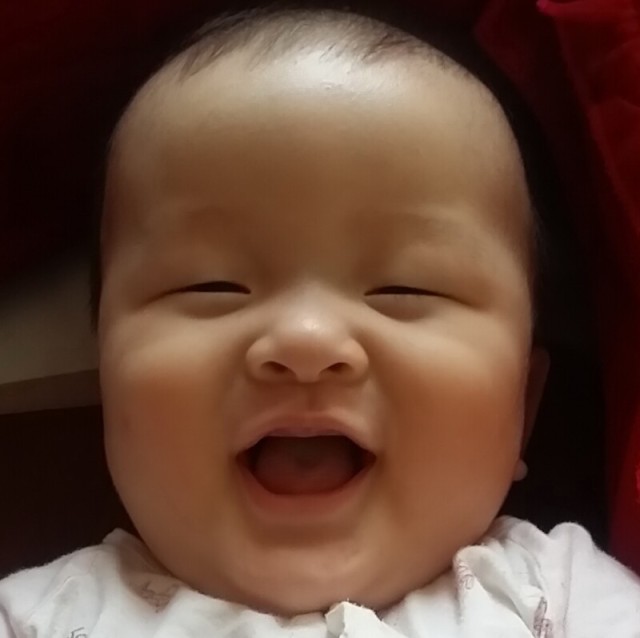 790175 醉生梦死