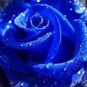 790723 Lucky_star