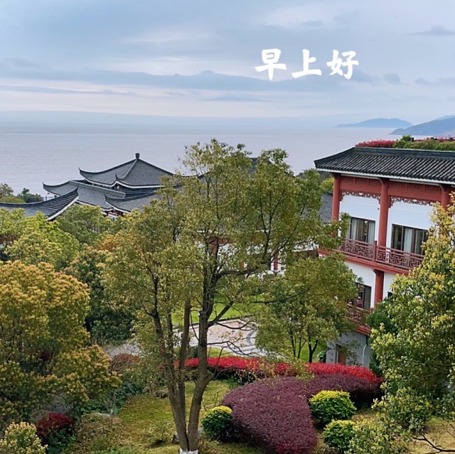 790820 向日葵