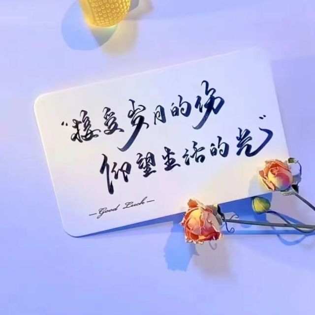 791462 对头