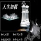 791629 人生如棋