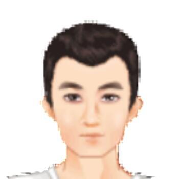 792528 牛木头