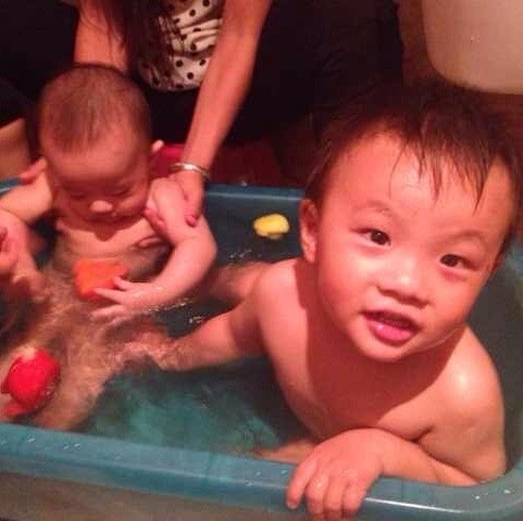 792869 葉子哋樹