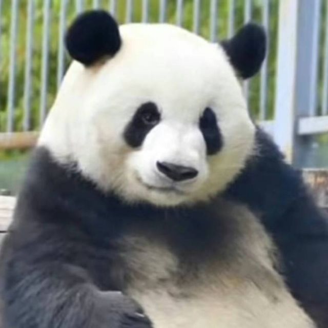 792996 艾萨拉的秋天