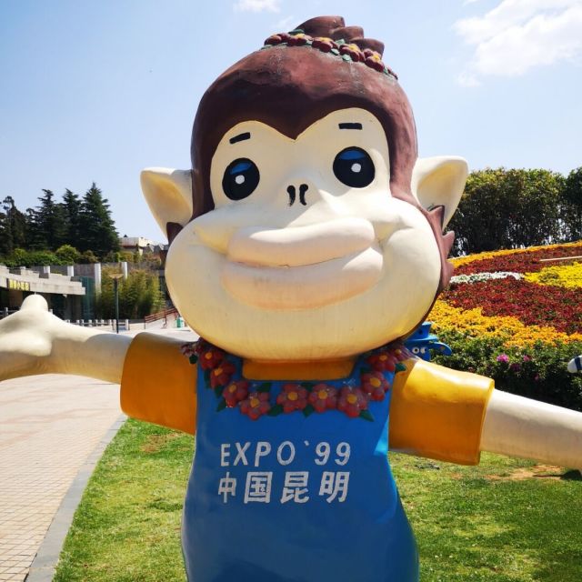 793182 龍之⑨孒