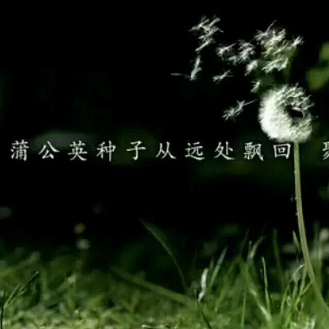 793541 乱七八糟