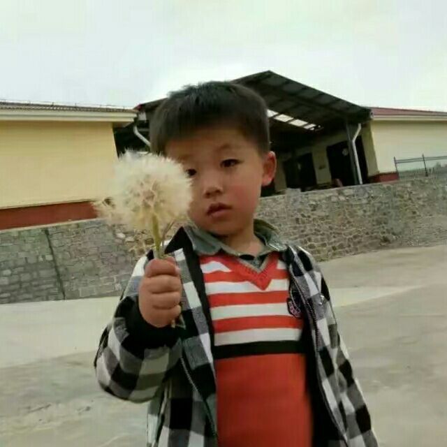 793661 藍藍哋淥/xin