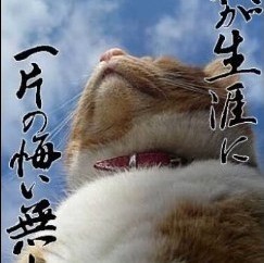 793710 阿信