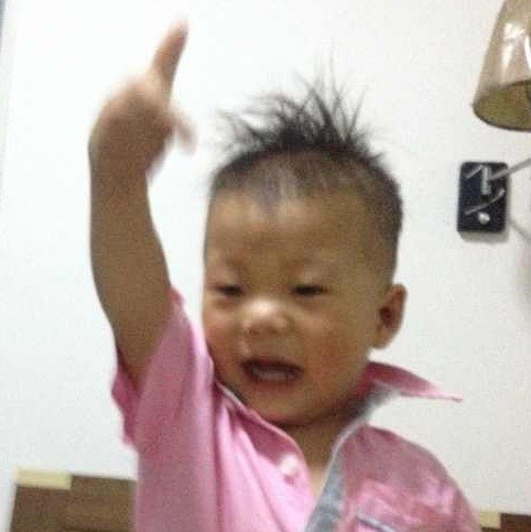 794750 ♂絕地蒼狼‰ _