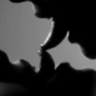 794997 FOR